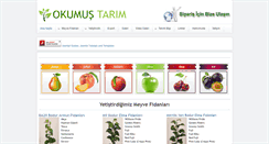 Desktop Screenshot of okumustarim.com