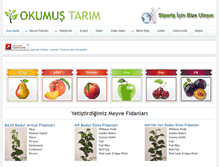 Tablet Screenshot of okumustarim.com